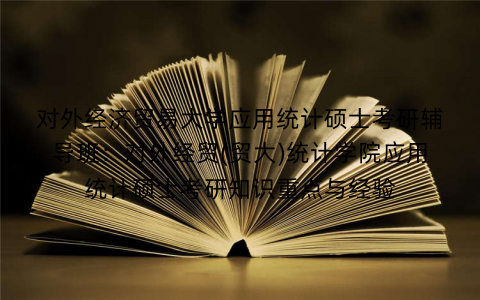 对外经济贸易大学应用统计硕士考研辅导班:对外经贸(贸大)统计学院应用统计硕士考研知识重点与经验